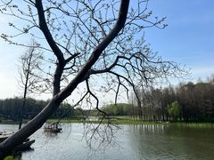 -溱湖国家湿地公园