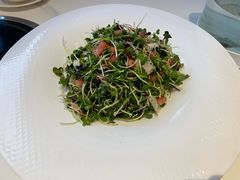 果味萝卜苗-山东八大碗山东老字号