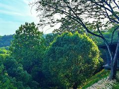 -西湖风景区-江洋畈生态公园