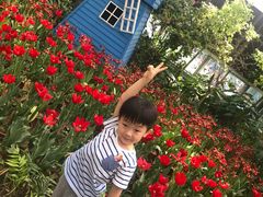 游乐设施-南宫五洲植物乐园