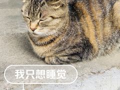 -崇仁古镇
