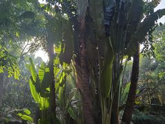 -厦门日月谷温泉渡假村