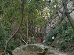 -大岭沟猕猴桃谷风景区