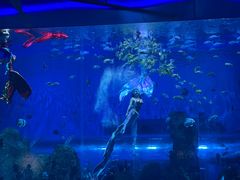 -石家庄极地海洋世界
