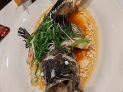 -稻香酒家·35年老字号(侨光店)