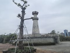 -中澳友谊花园