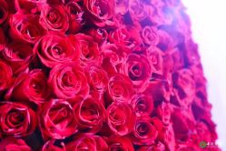 -北京七彩云南翡翠珠宝旗舰店(月坛店)