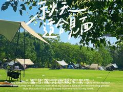 -上海滨江森林公园