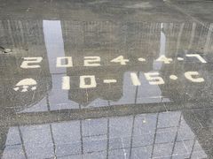 -鱼鲜饭香·招牌汽锅剁椒鱼头王