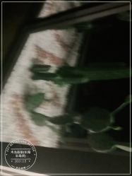 -木北造型