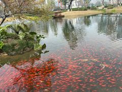 -成都市实验小学(人民中路校区)