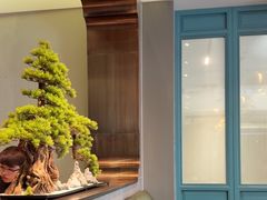 -高玛纳驴肉火烧(河间总店)