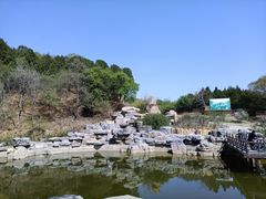 -鬼笑石后山停车场