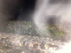 -天目湖涵田度假村