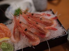 -将军日本餐厅·Shogun(厦门马哥孛罗东方大酒店)