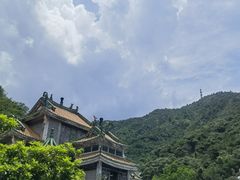-南海湾森林生态园