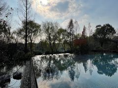 -杭州西子湖四季酒店-WL BISTRO西湖餐厅(灵隐路店)