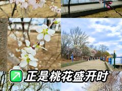 -长白岛森林公园