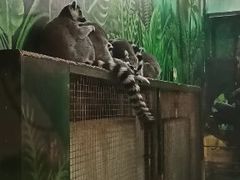 -西安秦岭野生动物园