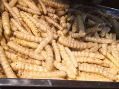 -昆虫窝子·特色云南菜(拓东路总店)