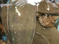 -宜宾海鲜酒家·三十年老字号