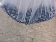 -南门绿玉农贸市场