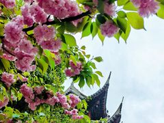 -龙华寺