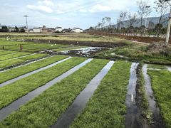 -大理洱源西湖景区