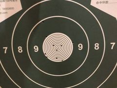 -真枪会射击俱乐部(河西中央公园店)