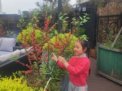 -好望角大饭店(肇嘉浜路店)