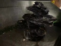 -新盈光·旗舰店(海曙苍松路店)