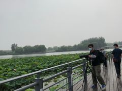 -大兴滨河森林公园