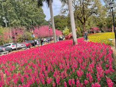 -广州市流溪河国家森林公园