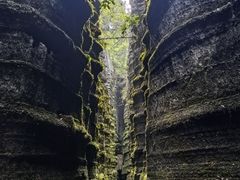 -梭布垭石林景区