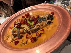 -柿合缘新京菜(国金中心商场店)
