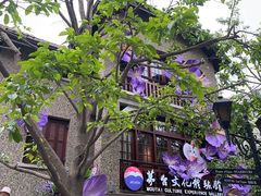 -星巴克臻选(思南公馆店)