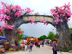 -天适樱花悠乐园