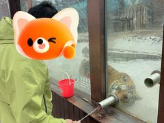 -横道河子东北虎林园