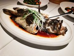 -鱼乐轩(珠江路店)