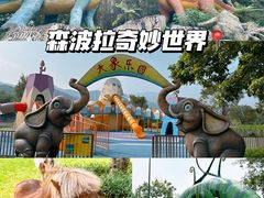 -森波拉奇妙世界