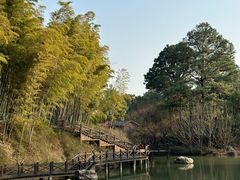 -宝岩生态观光园