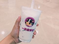 -一只酸奶牛(八一路店)