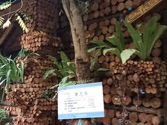 -北京呀路古热带植物园