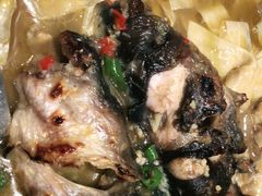 -鱼酷活鱼烤鱼(南京水游城店)