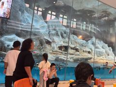 -帝企鹅自助餐厅•儿童岛•真企鹅(长隆企鹅酒店)