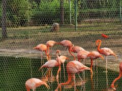 -石家庄市动物园