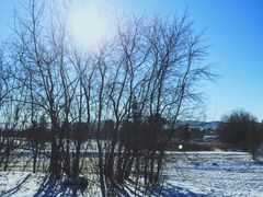 -北极村旅游风景区