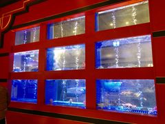 水产区-东富酒家(龙湖西溪天街店)
