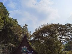 -南丹山森林王国