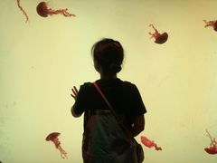 -沈阳海洋探索中心